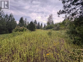 40 Acres Shuswap River Drive. Lumby, British Columbia