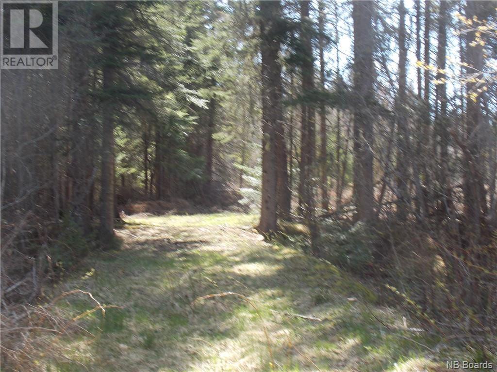 134 Gray Road, Penobsquis Property Listing MLS® NB086114