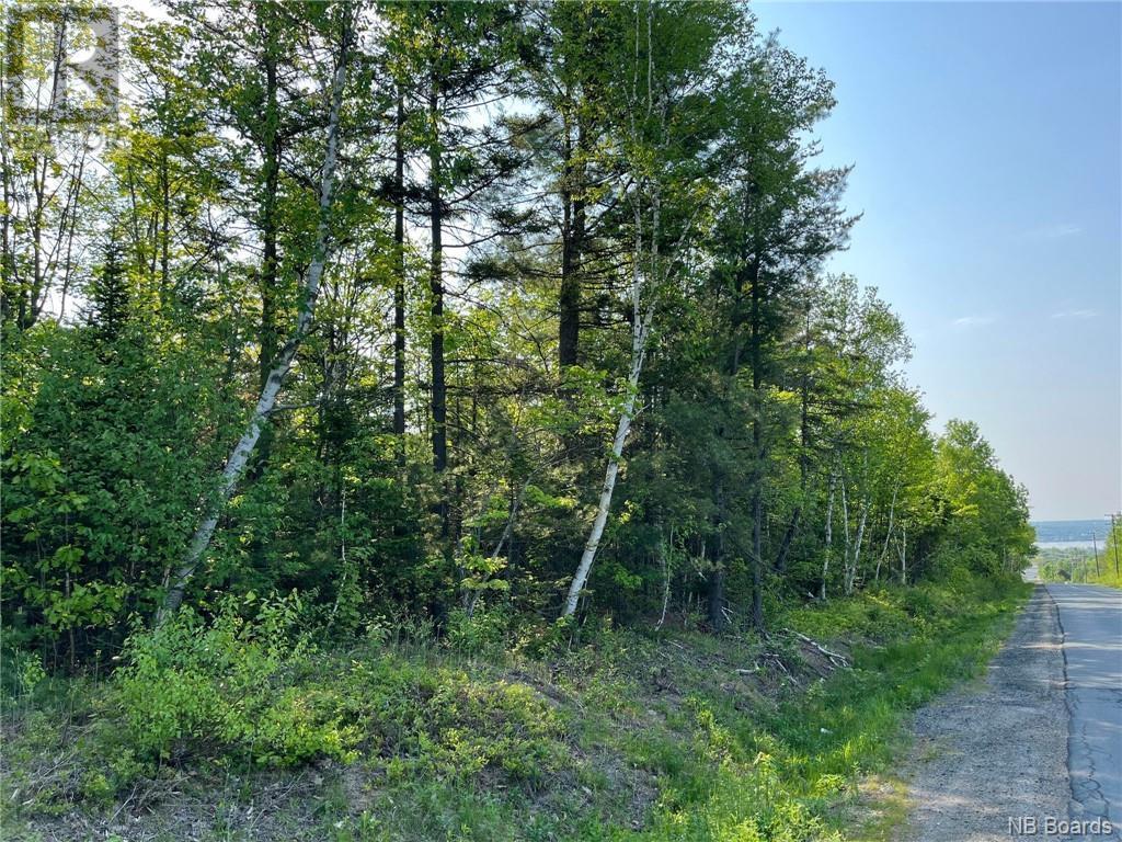 30 Acres Hansen Road, Miramichi Property Listing MLS® NB087213