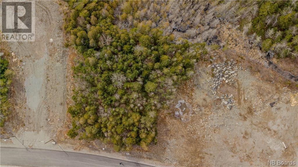 Photo of Listing #NB087317