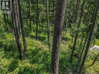 Lot 25 Forest View Place. Blind Bay, British Columbia
