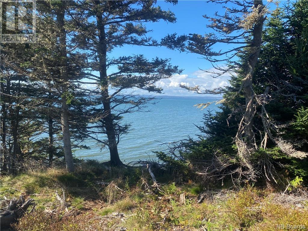  Welch Cove Rd, Maces Bay Property Listing MLS® NB092652