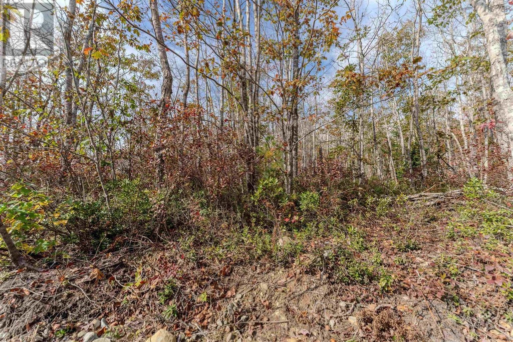 59 Morton Drive, Liverpool