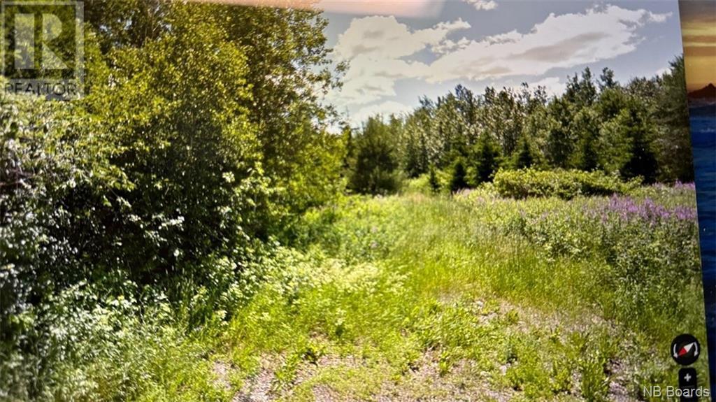 Photo of Listing #NB096289