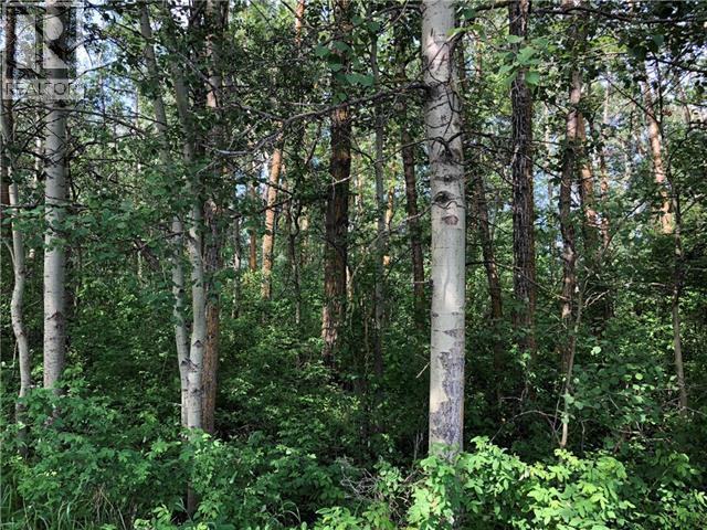 Lot 15 Campsite Road, Plamondon