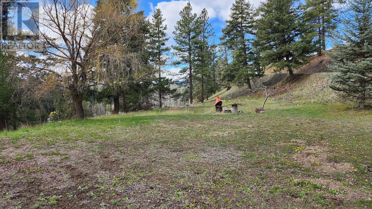 306 Jacobson Road. Princeton, British Columbia