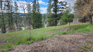 306 Jacobson Road. Princeton, British Columbia