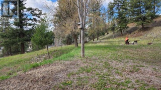 306 Jacobson Road. Princeton, British Columbia