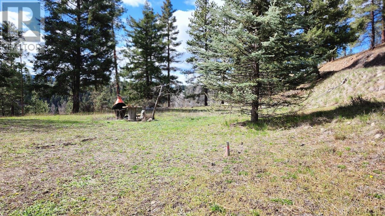 306 Jacobson Road. Princeton, British Columbia