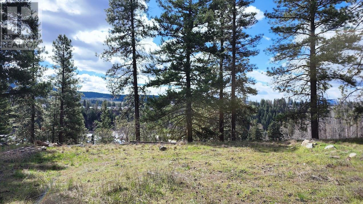 306 Jacobson Road. Princeton, British Columbia