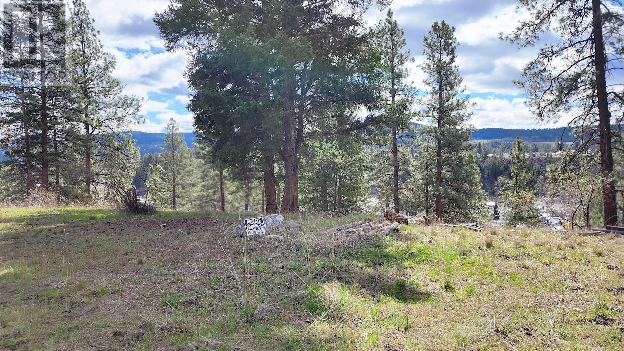 306 Jacobson Road. Princeton, British Columbia