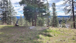 306 Jacobson Road. Princeton, British Columbia