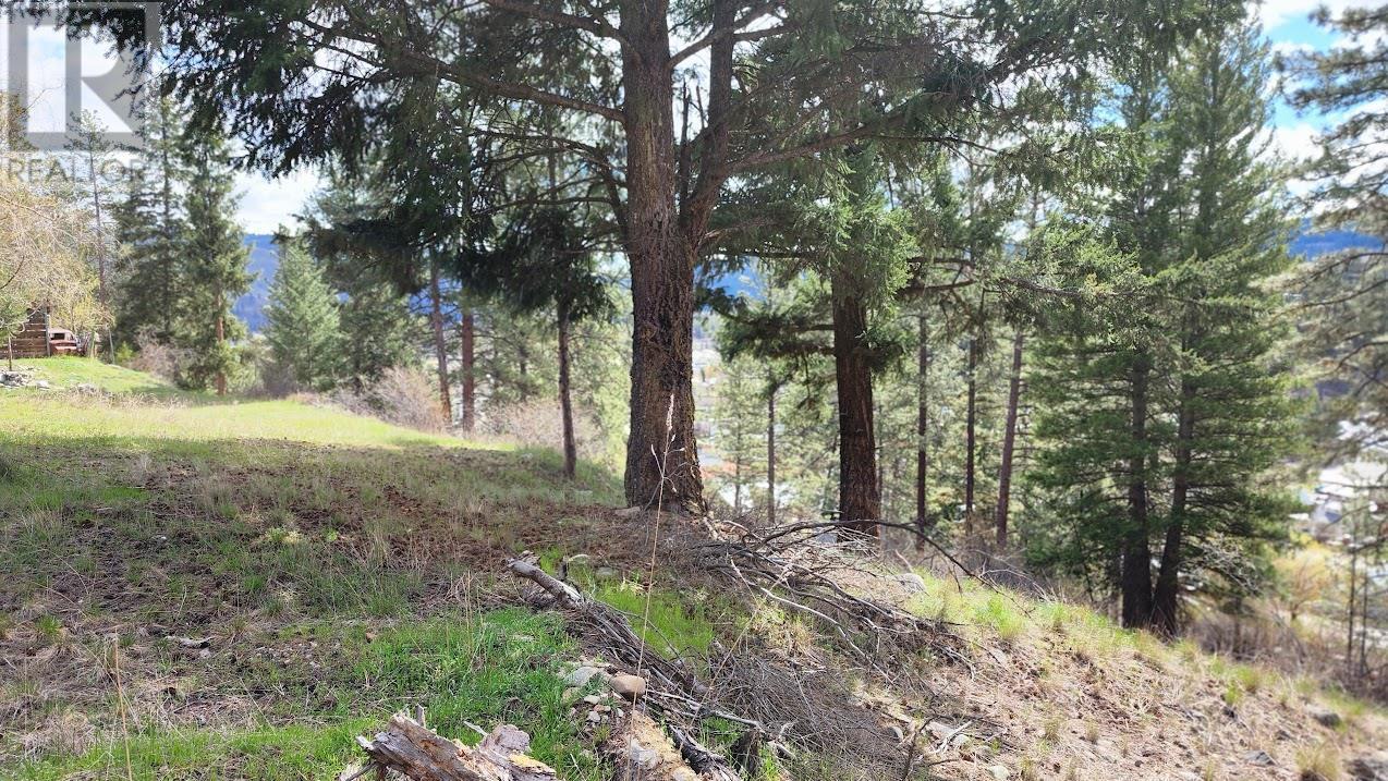 306 Jacobson Road. Princeton, British Columbia