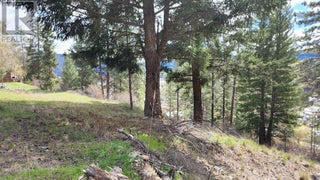 306 Jacobson Road. Princeton, British Columbia