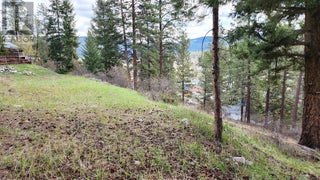 306 Jacobson Road. Princeton, British Columbia