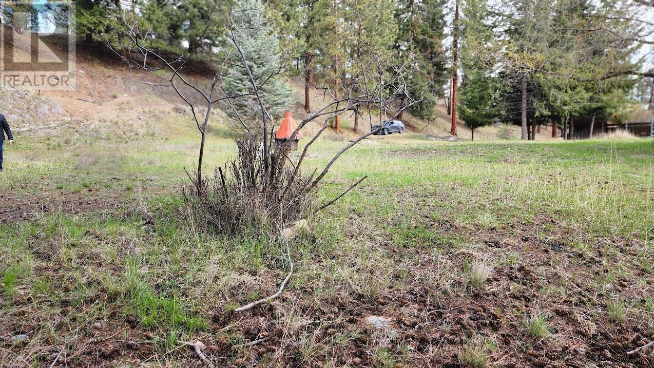 306 Jacobson Road. Princeton, British Columbia