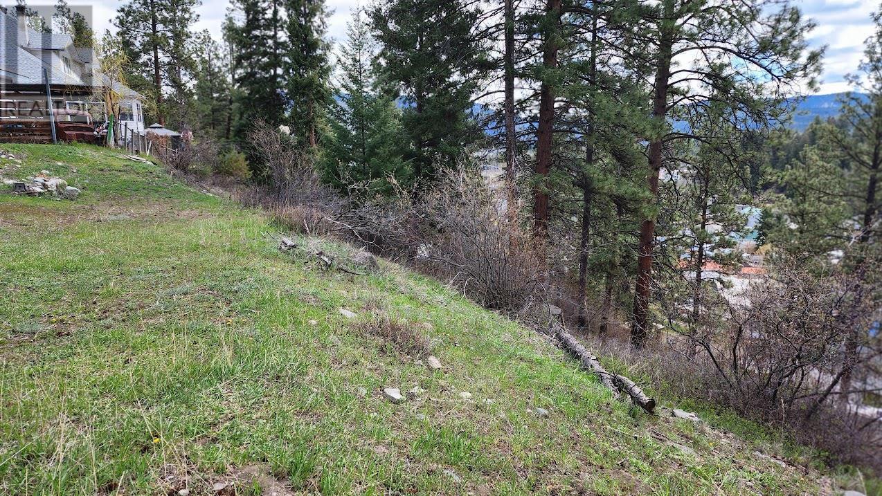 306 Jacobson Road. Princeton, British Columbia