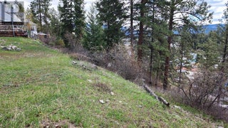 306 Jacobson Road. Princeton, British Columbia