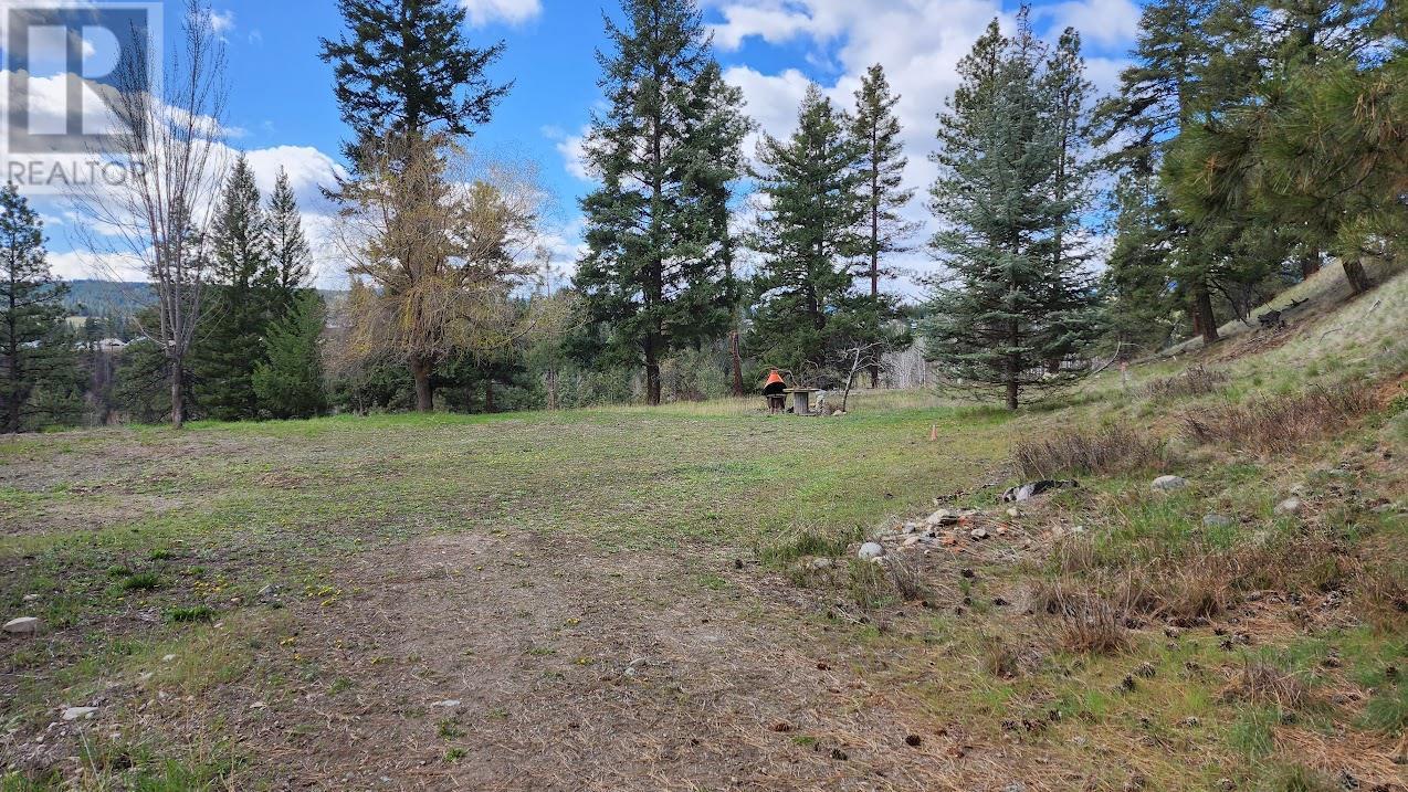 306 Jacobson Road. Princeton, British Columbia