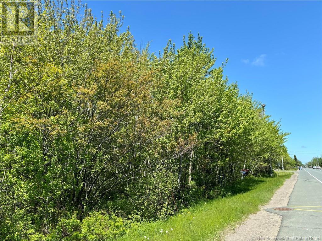 Photo of Listing #NB097625