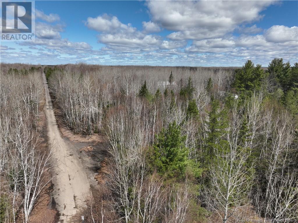 Photo of Listing #NB098430