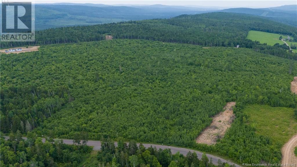 Photo of Listing #M159041