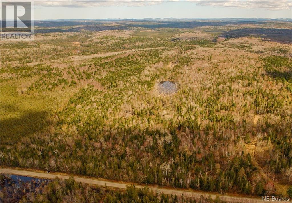 Photo of Listing #NB098850