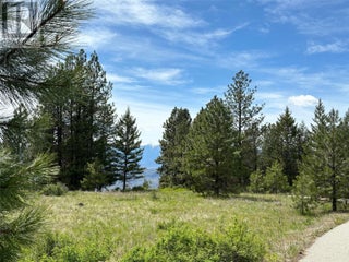 500 Sasquatch Trail. Osoyoos, British Columbia