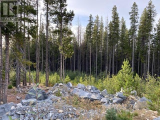 19 Buck Road. Oliver, British Columbia