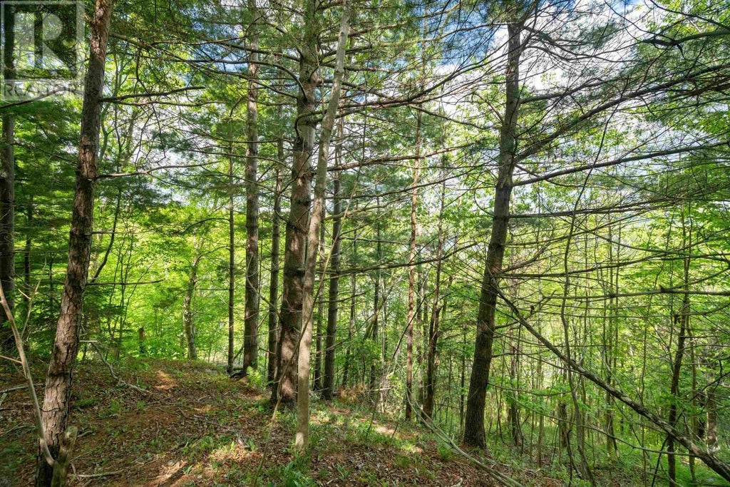 27 Copperhead Road, Fall River