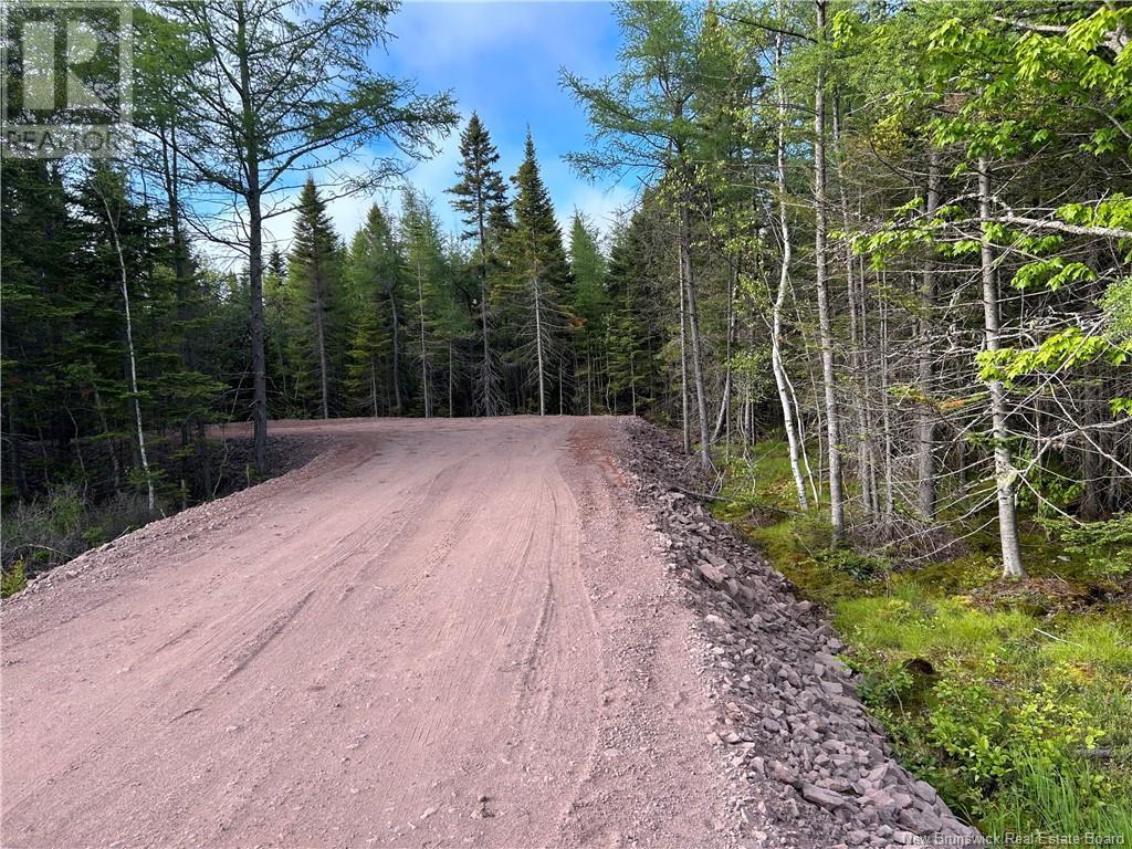 Photo of Listing #NB101518