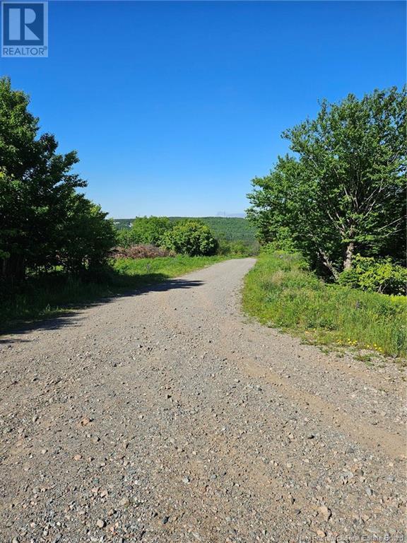 Photo of Listing #NB101797