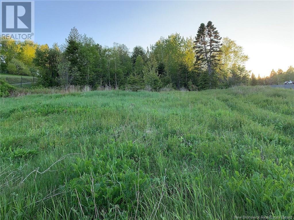 428 Rte 275 Darlington Drive, Dalhousie Property Listing MLS® NB101764