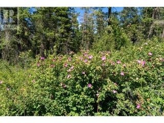 5401-5403 Mcculloch Road. Kelowna, British Columbia