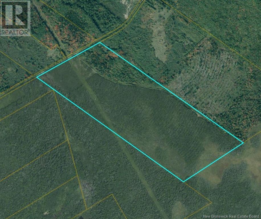 Photo of Listing #M160727