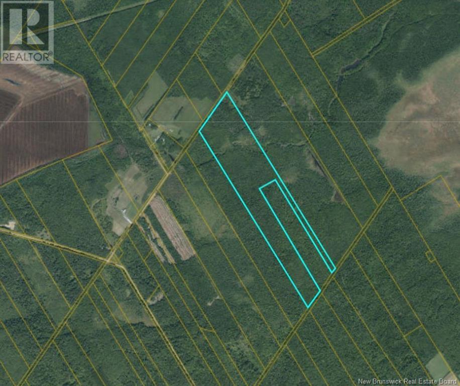 Photo of Listing #M160735