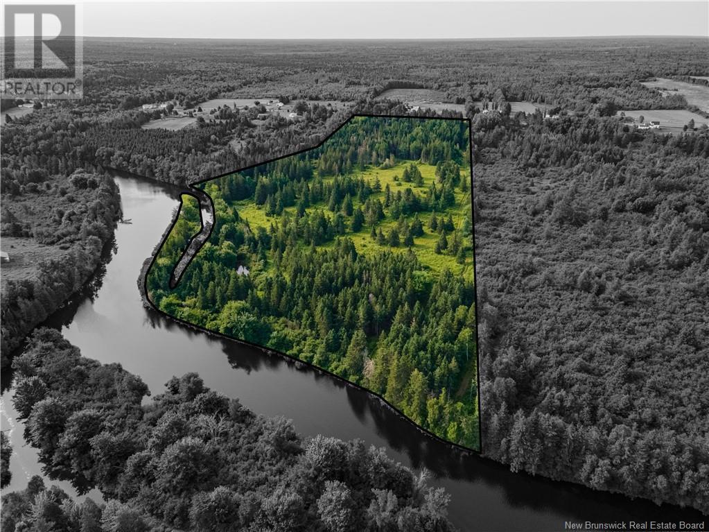 Photo of Listing #M161238