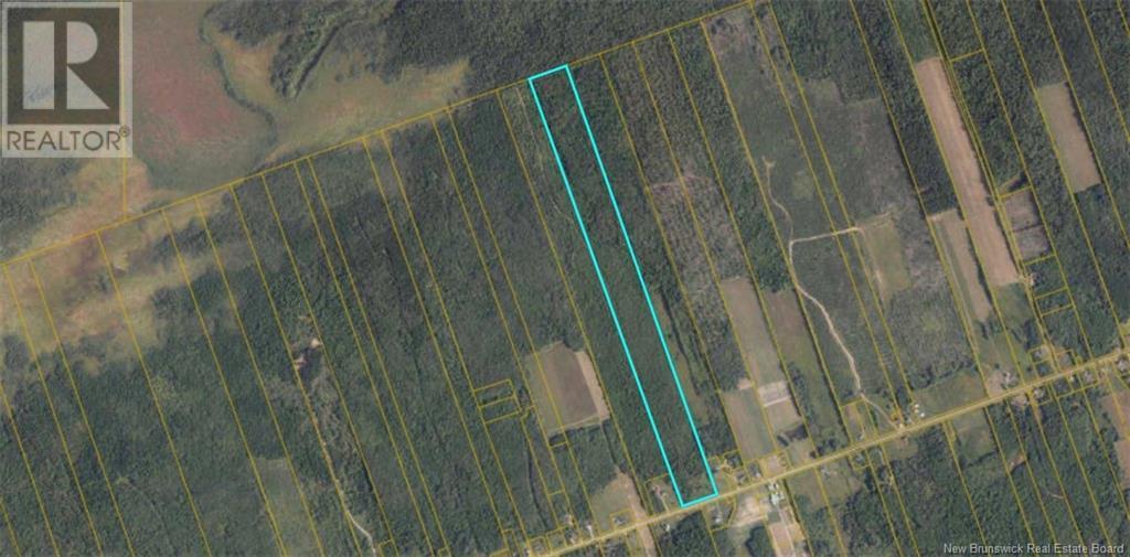 Photo of Listing #M161606