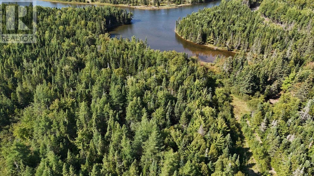 Andreas Popp Lane, Evanston