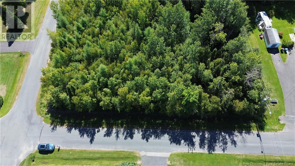 441 Petrie, North Tetagouche Property Listing MLS® NB105307