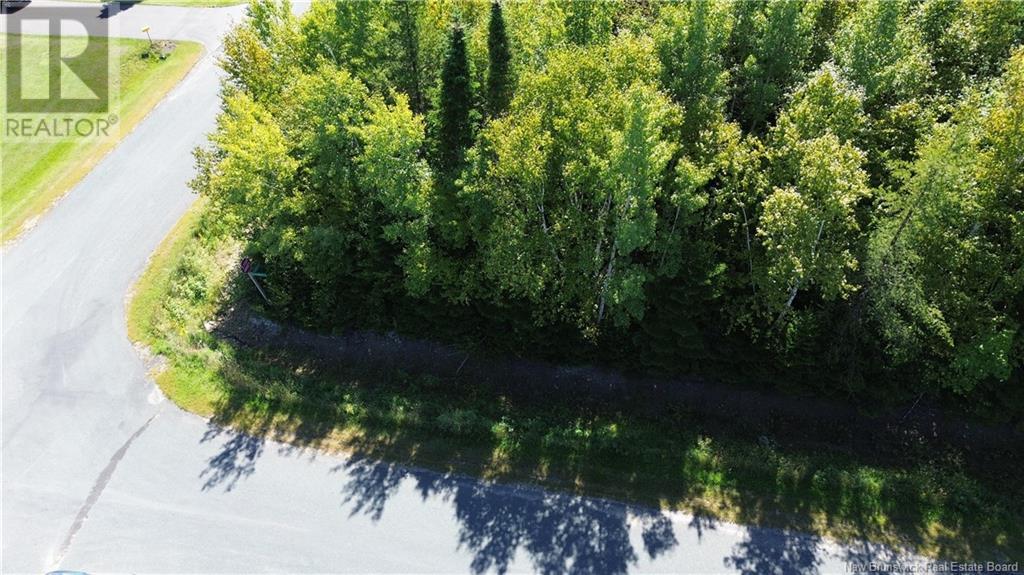 441 Petrie, North Tetagouche Property Listing MLS® NB105307