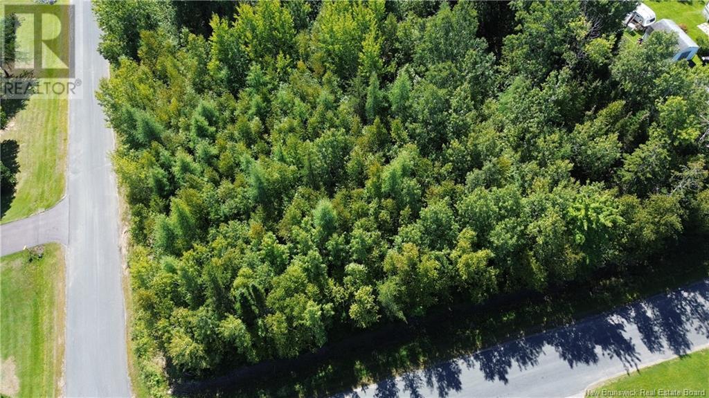 441 Petrie, North Tetagouche Property Listing MLS® NB105307