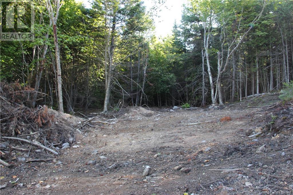 00 Shoreline Drive, Saint John Property Listing MLS® NB105483