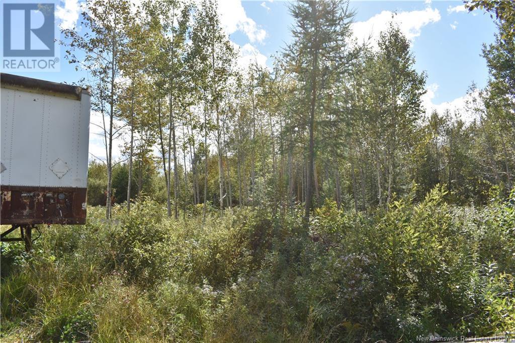 Lot Route 585, East Newbridge Property Listing MLS® NB105618