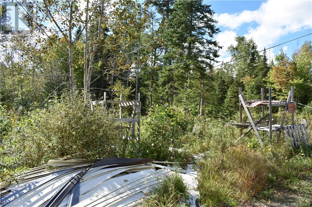 Lot Route 585, East Newbridge Property Listing MLS® NB105618