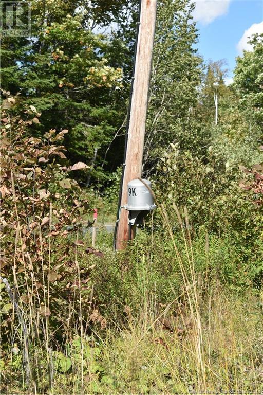 Lot Route 585, East Newbridge Property Listing MLS® NB105618