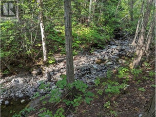 8569 Black Mountain Road. Chase, British Columbia