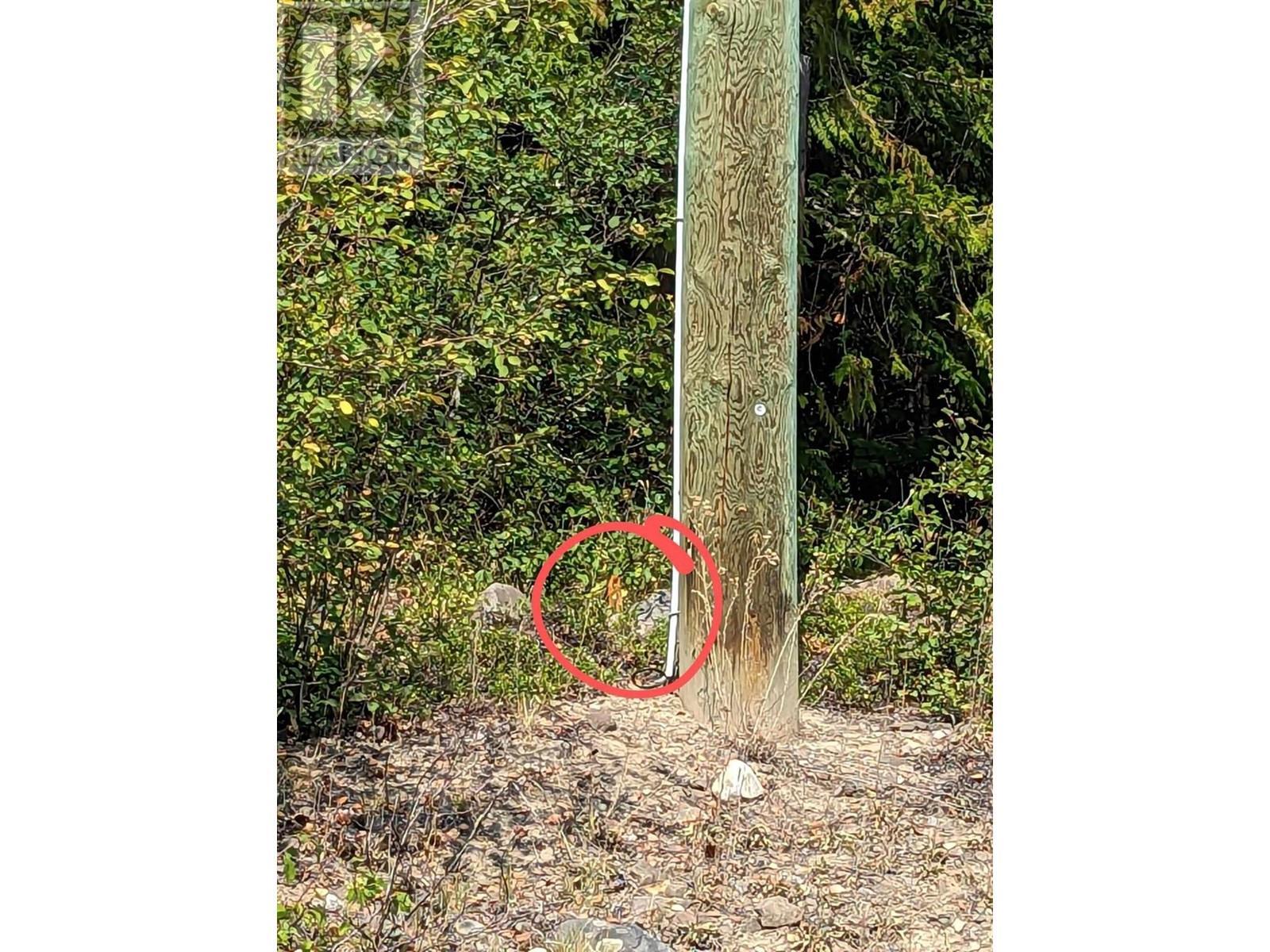 8569 Black Mountain Road. Chase, British Columbia