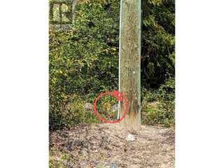 8569 Black Mountain Road. Chase, British Columbia