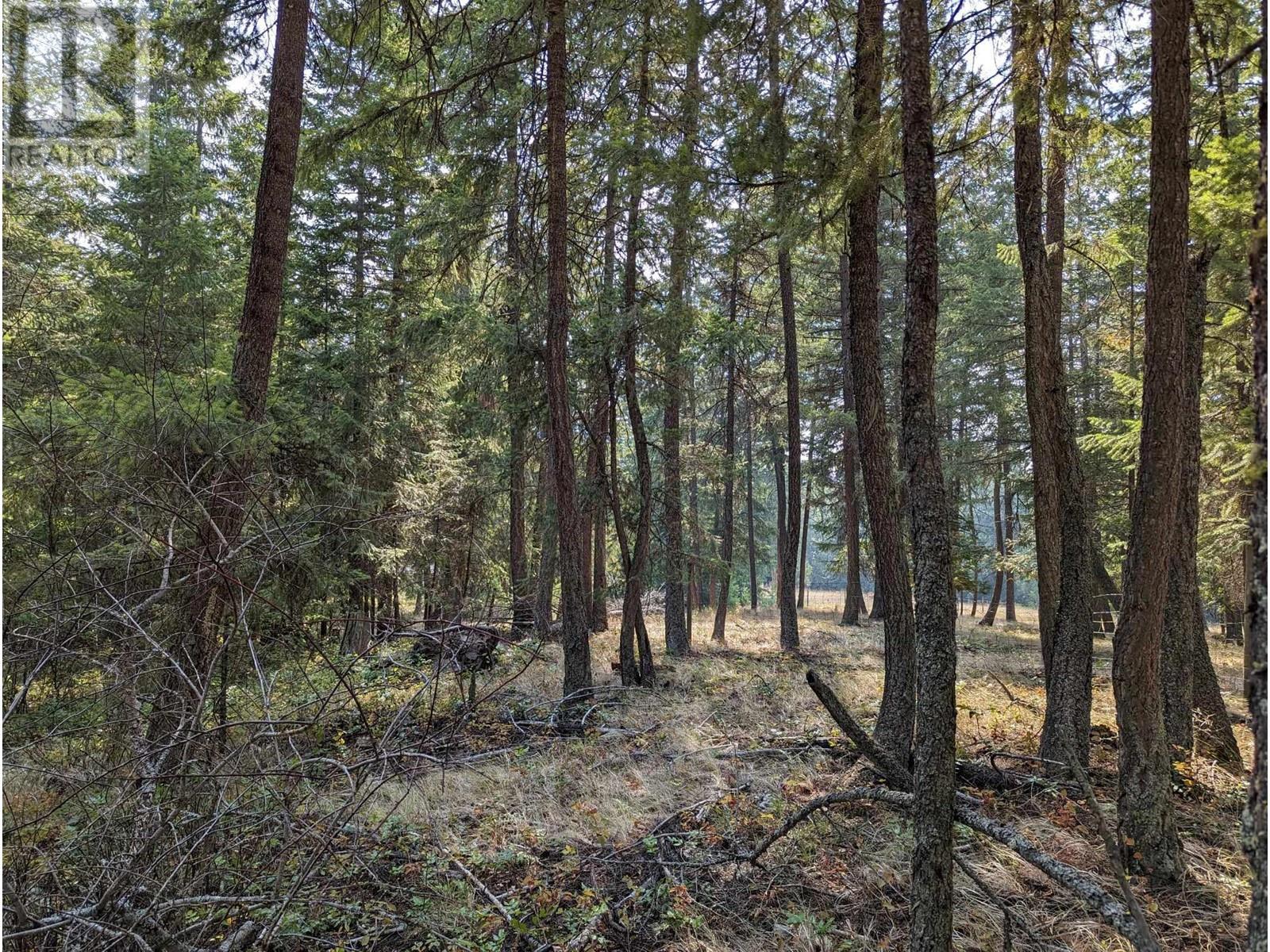 8569 Black Mountain Road. Chase, British Columbia